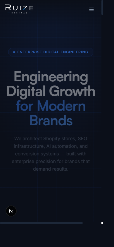 Ruize Digital website on mobile